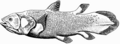 Thumbnail for version as of 22:56, 11 July 2008