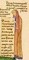 Thumbnail for version as of 01:59, 25 May 2008