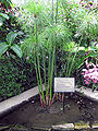 Thumbnail for version as of 12:06, 29 October 2007
