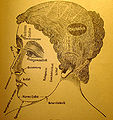 Thumbnail for version as of 21:16, 2 October 2007