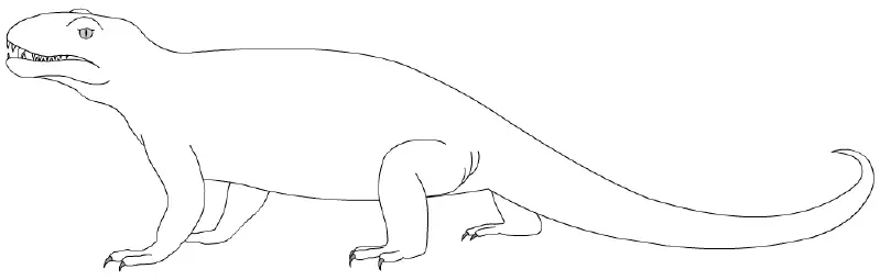 File:Phtinosuchus1ZICA.png