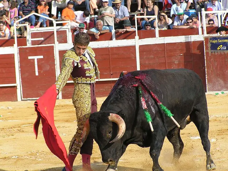 File:TORERO.jpg