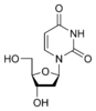 Chemical structure of deoxyuridine