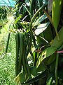 Thumbnail for version as of 18:22, 26 June 2006