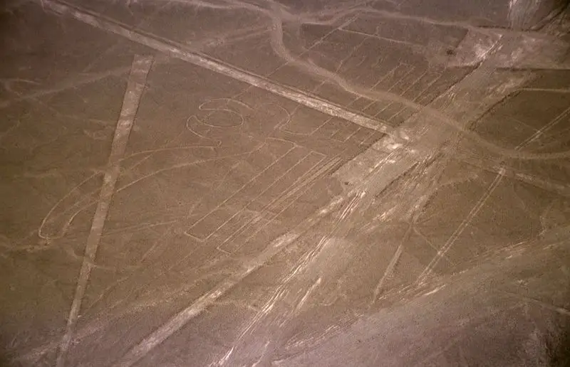 File:Nazca-lineas-pelicano-c01.jpg