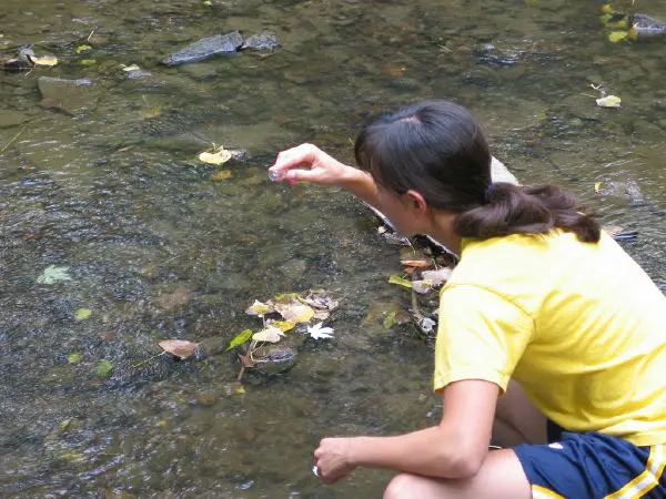 Environmental science - New World Encyclopedia