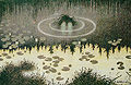 Thumbnail for version as of 19:47, 14 July 2007