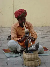 Snake Charming New World Encyclopedia (c) 2017 dj snake music under. snake charming new world encyclopedia