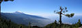 Thumbnail for version as of 02:07, 15 June 2008