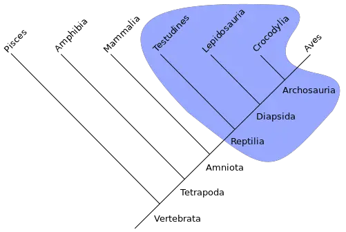 Cladistics - New World Encyclopedia