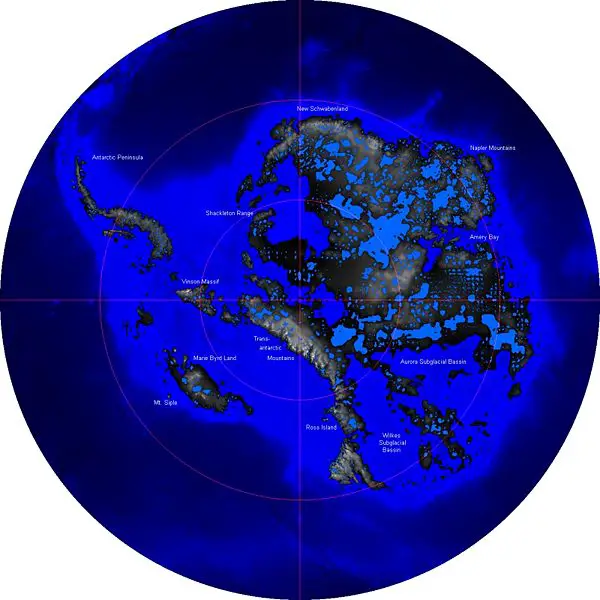 File:AntarcticaRockSurface.jpg
