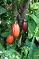 Thumbnail for version as of 18:49, 7 July 2007