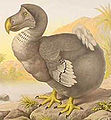 Thumbnail for version as of 19:42, 5 July 2007