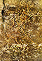 Thumbnail for version as of 15:47, 11 December 2006