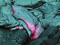 Thumbnail for version as of 19:40, 16 April 2007