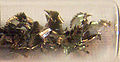 Thumbnail for version as of 18:42, 6 February 2007