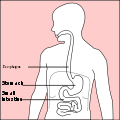 Thumbnail for version as of 01:47, 15 July 2007