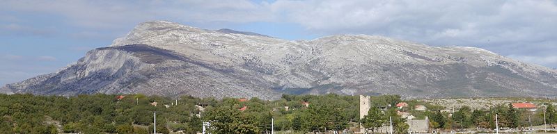 File:Dinara Cetina.JPG