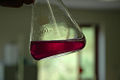 Thumbnail for version as of 14:05, 4 January 2007