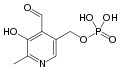 Thumbnail for version as of 22:52, 10 December 2008