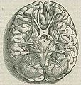 Thumbnail for version as of 16:39, 20 October 2008