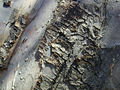 Thumbnail for version as of 19:52, 30 June 2006