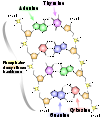 Thumbnail for version as of 17:45, 17 December 2007