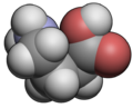 Thumbnail for version as of 23:39, 10 October 2008