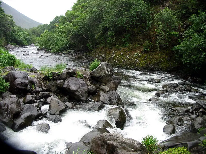 File:Hawaii Creek.jpg