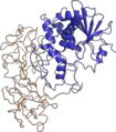 Thumbnail for version as of 01:23, 18 July 2008