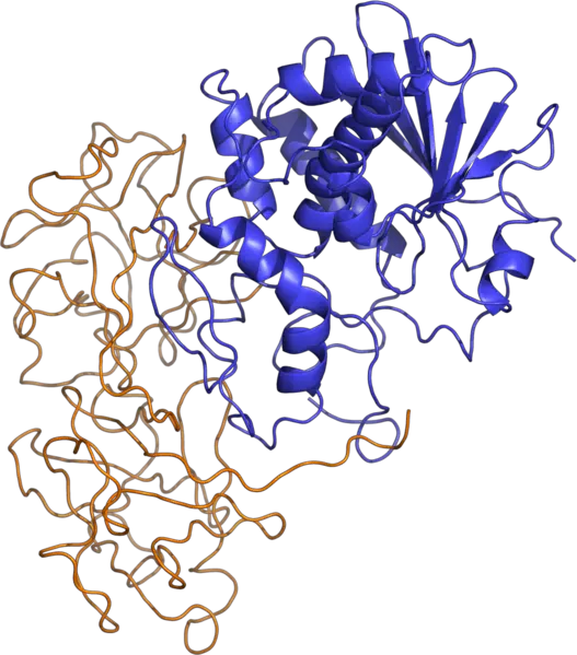 File:Ricin structure.png