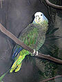 Thumbnail for version as of 17:59, 26 November 2007