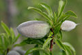Thumbnail for version as of 15:53, 20 August 2007