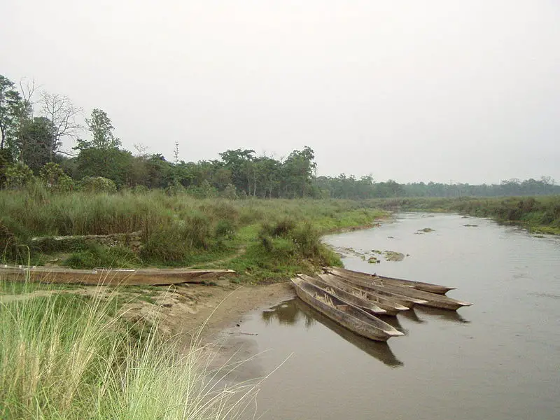 File:Sauraha-109.JPG