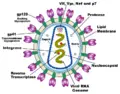 Thumbnail for version as of 00:19, 28 January 2006
