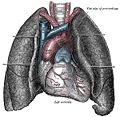 Thumbnail for version as of 12:36, 13 June 2006