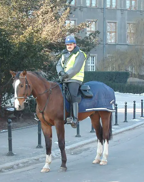 File:Policja konna Poznań.jpg