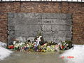 Thumbnail for version as of 04:18, 21 December 2007
