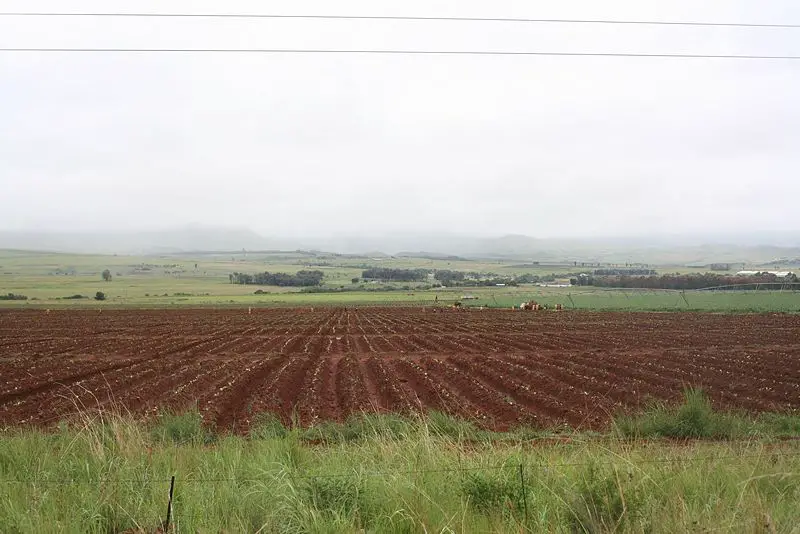 File:Farm in Mpumalanga.jpg