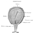 Thumbnail for version as of 00:20, 3 November 2008