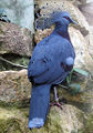 Thumbnail for version as of 14:37, 8 July 2006