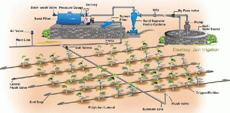 File:Dripirrigation.gif