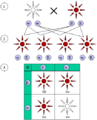 Thumbnail for version as of 18:09, 19 February 2006