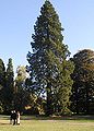 Thumbnail for version as of 22:32, 10 May 2006