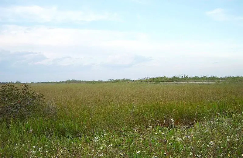File:Anhingatrail.jpg
