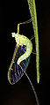 Thumbnail for version as of 15:29, 18 October 2007