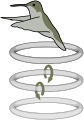 Thumbnail for version as of 16:15, 7 August 2007