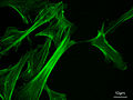 Thumbnail for version as of 16:00, 6 May 2006
