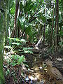 Thumbnail for version as of 02:04, 21 June 2007