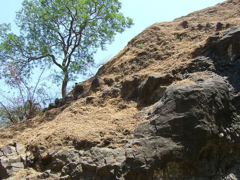 File:India-Elephanta-Lone.jpg